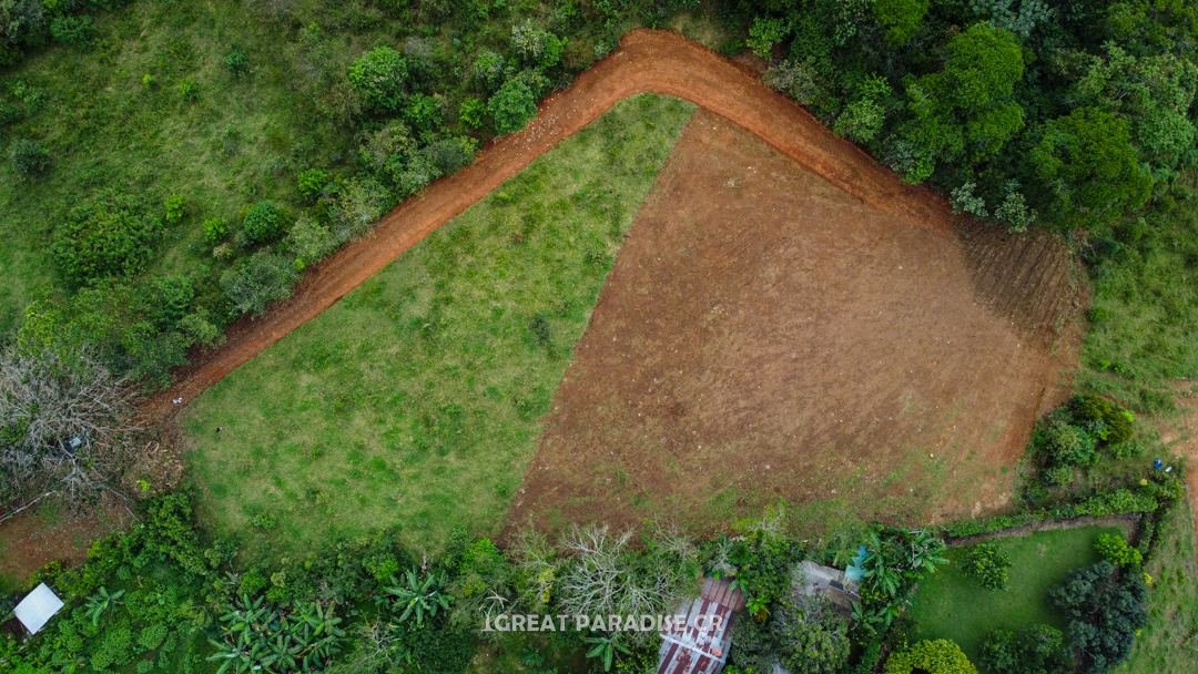 Terreno Morazán