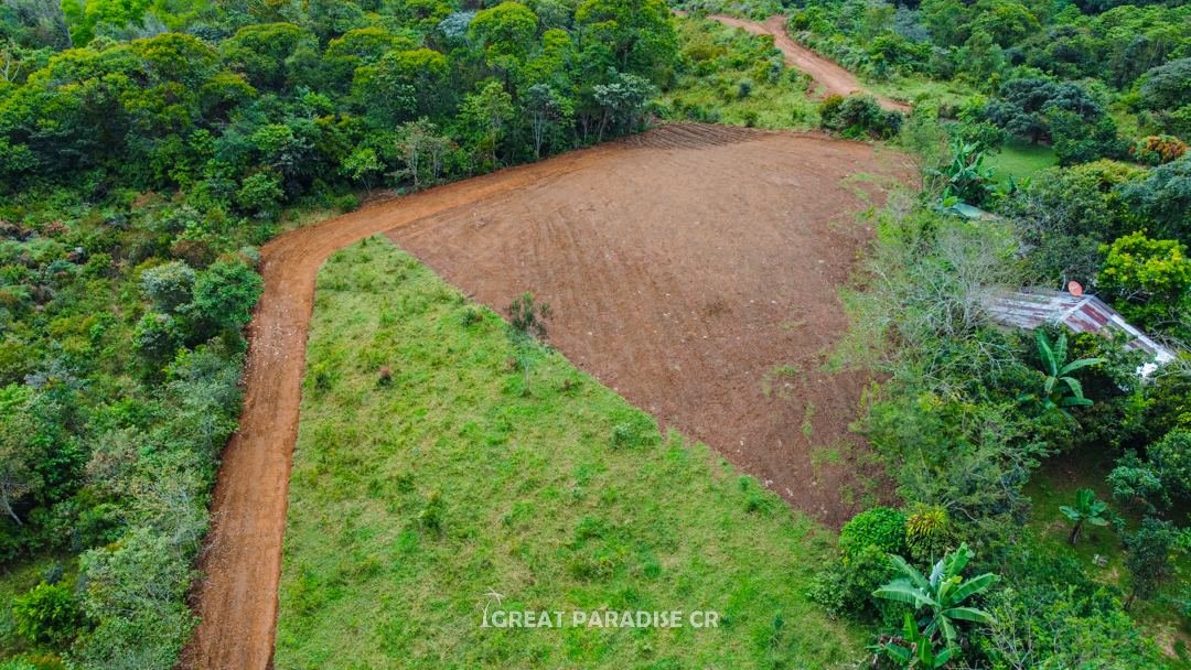 Terreno Morazán - imagen 4
