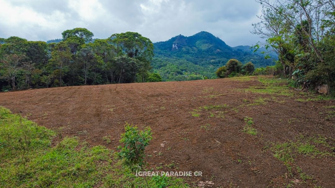 Terreno Morazán — foto 6