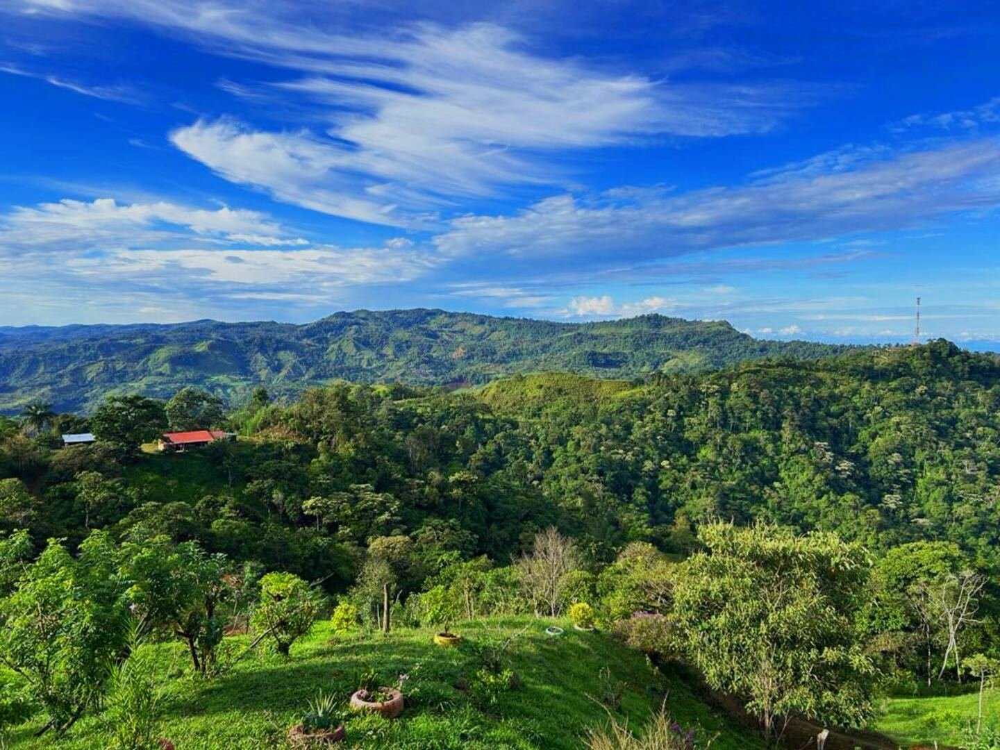 Finca Villa Fonseca - imagen 4
