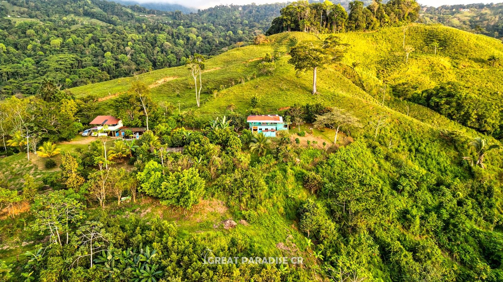 Vegetación y árboles frutales del terreno de Buenas Vistas