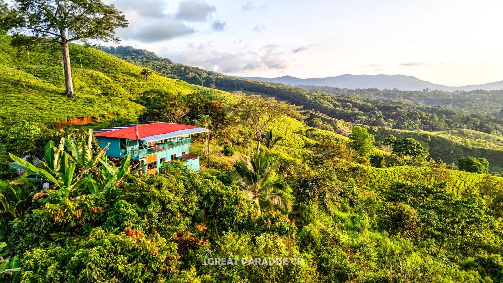 Vista del jardín y colinas de Buenas Vistas