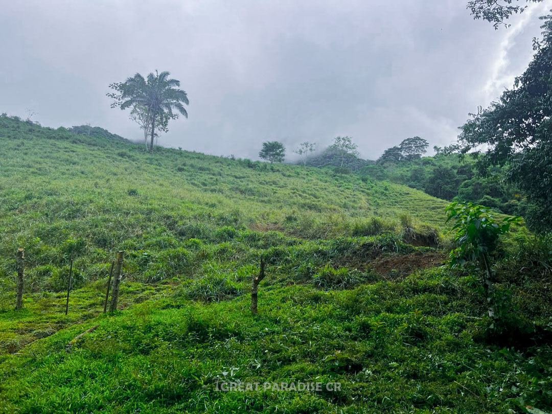 Finca Malangué - imagen 2
