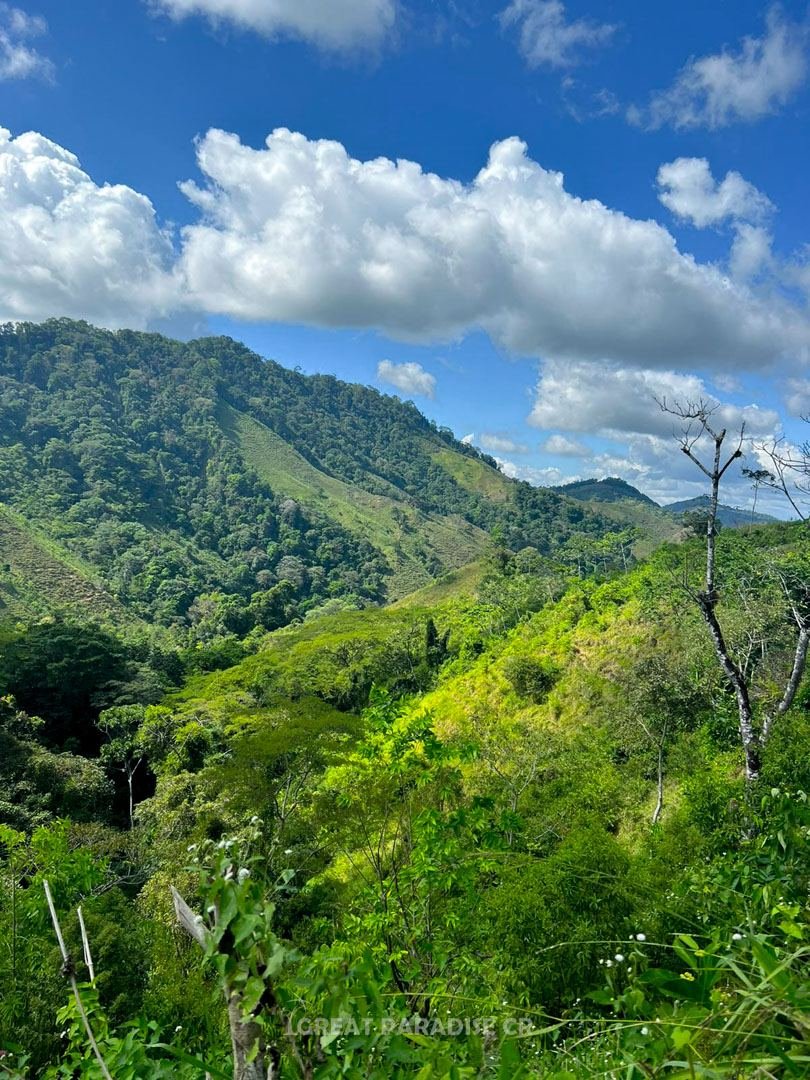Finca Malangué - imagen 3