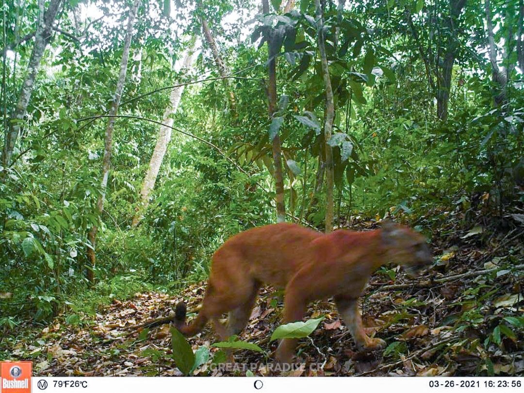 Finca Malangué - imagen 4