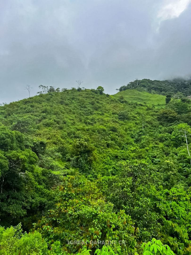Finca Malangué - imagen 5
