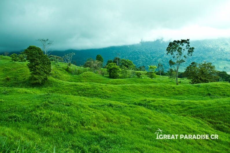 Finca La Gloria de Aguirre