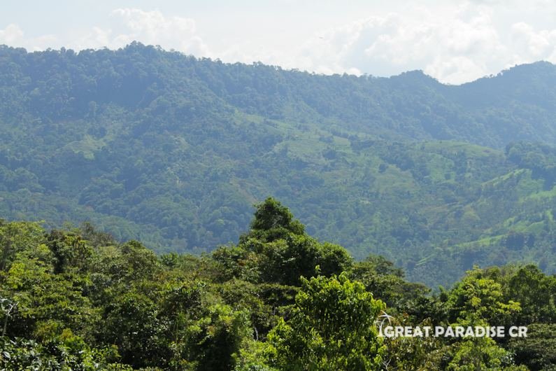 Finca La Gloria de Aguirre - imagen 2