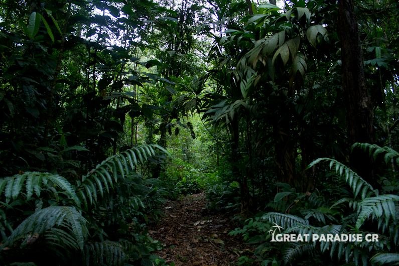 Finca La Gloria de Aguirre - imagen 3