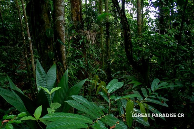 Finca La Gloria de Aguirre - imagen 4