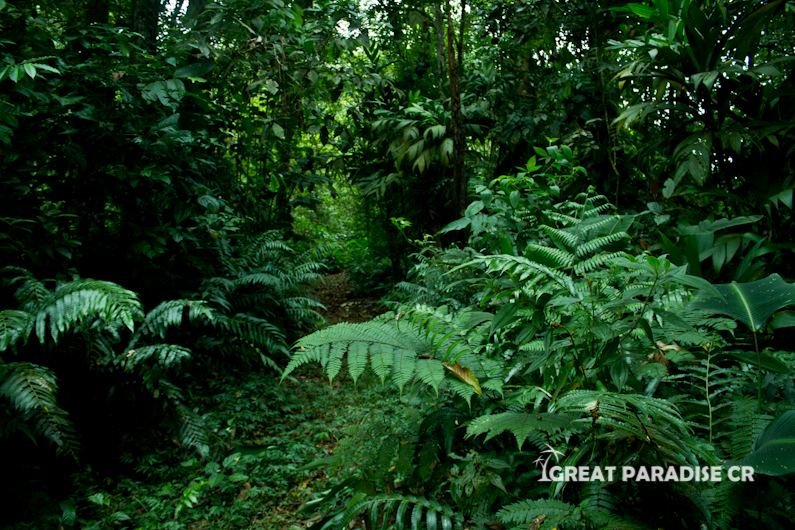 Finca La Gloria de Aguirre - imagen 5