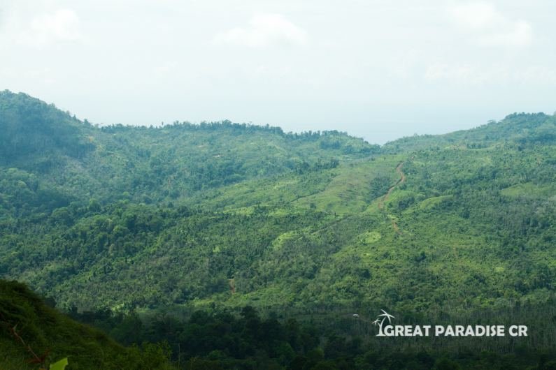 Vista panorámica de colinas cubiertas de bosque en Savegre