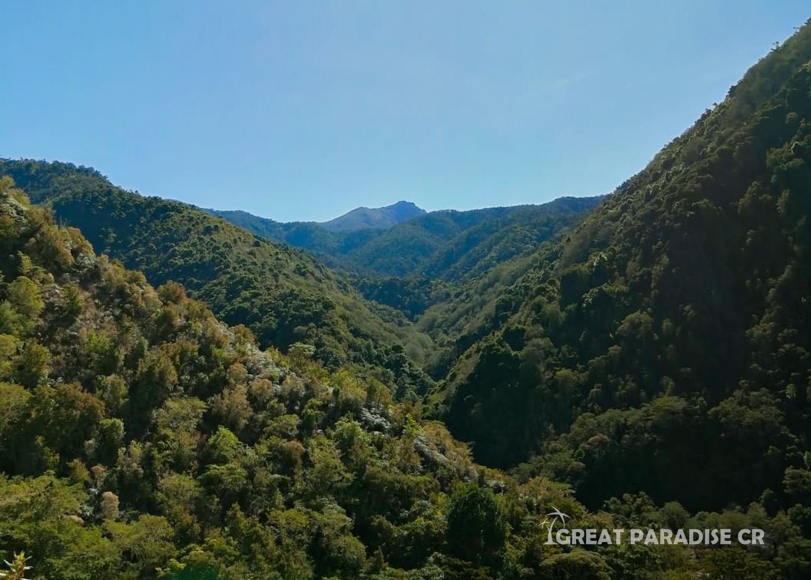 Finca Las Catalinas - imagen 4