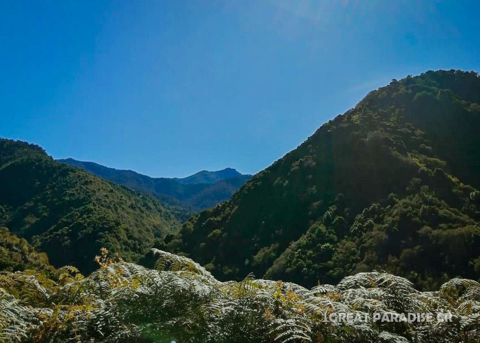 Finca Las Catalinas - imagen 5