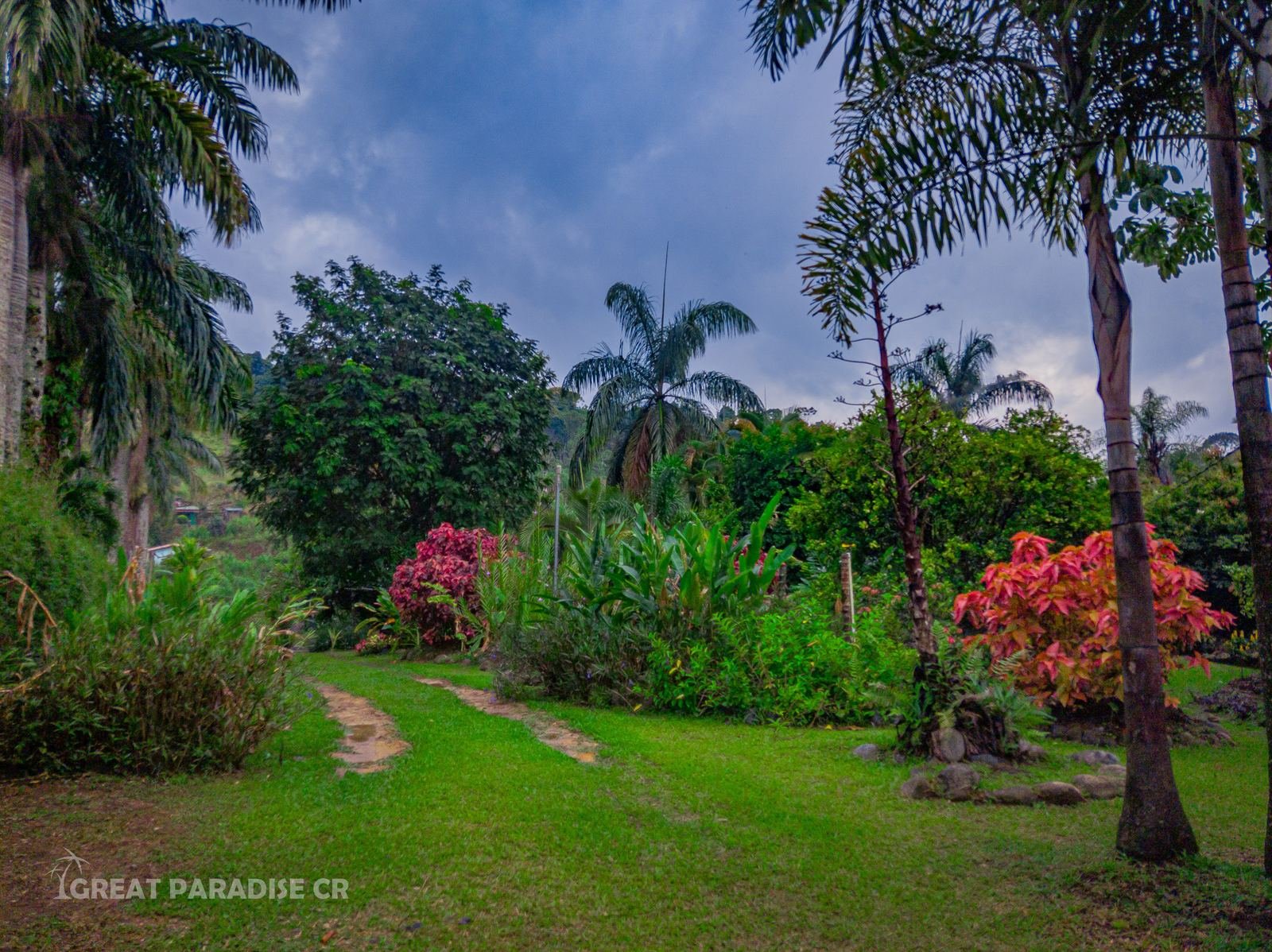 Vegetación y árboles del terreno de Casa Rivas