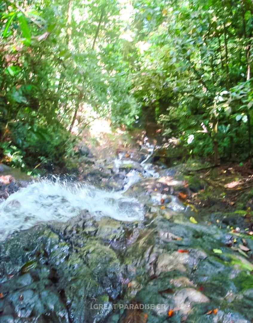 Finca en Cerro Adams - imagen 3