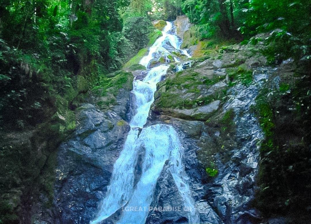 Cascada escalonada entre vegetación en Finca Cerro Adams