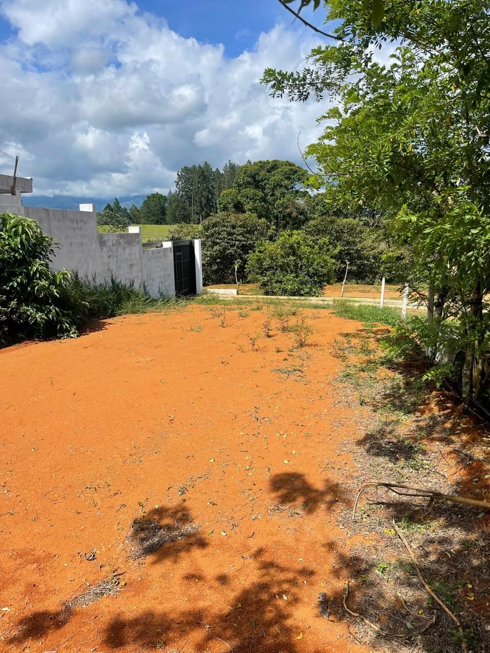 Área despejada rodeada de árboles en Lote Villa Hermosa
