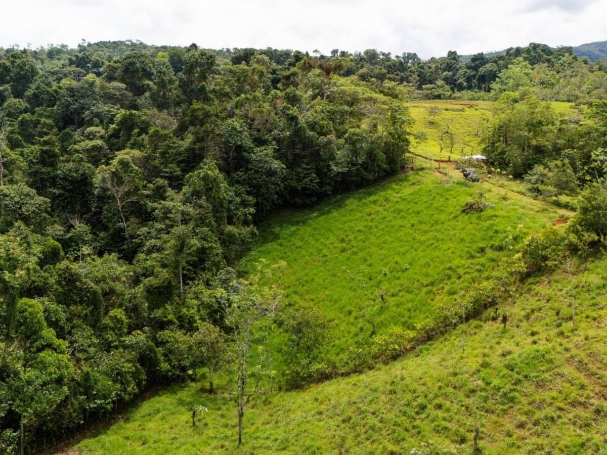Finca La Linda - imagen 2