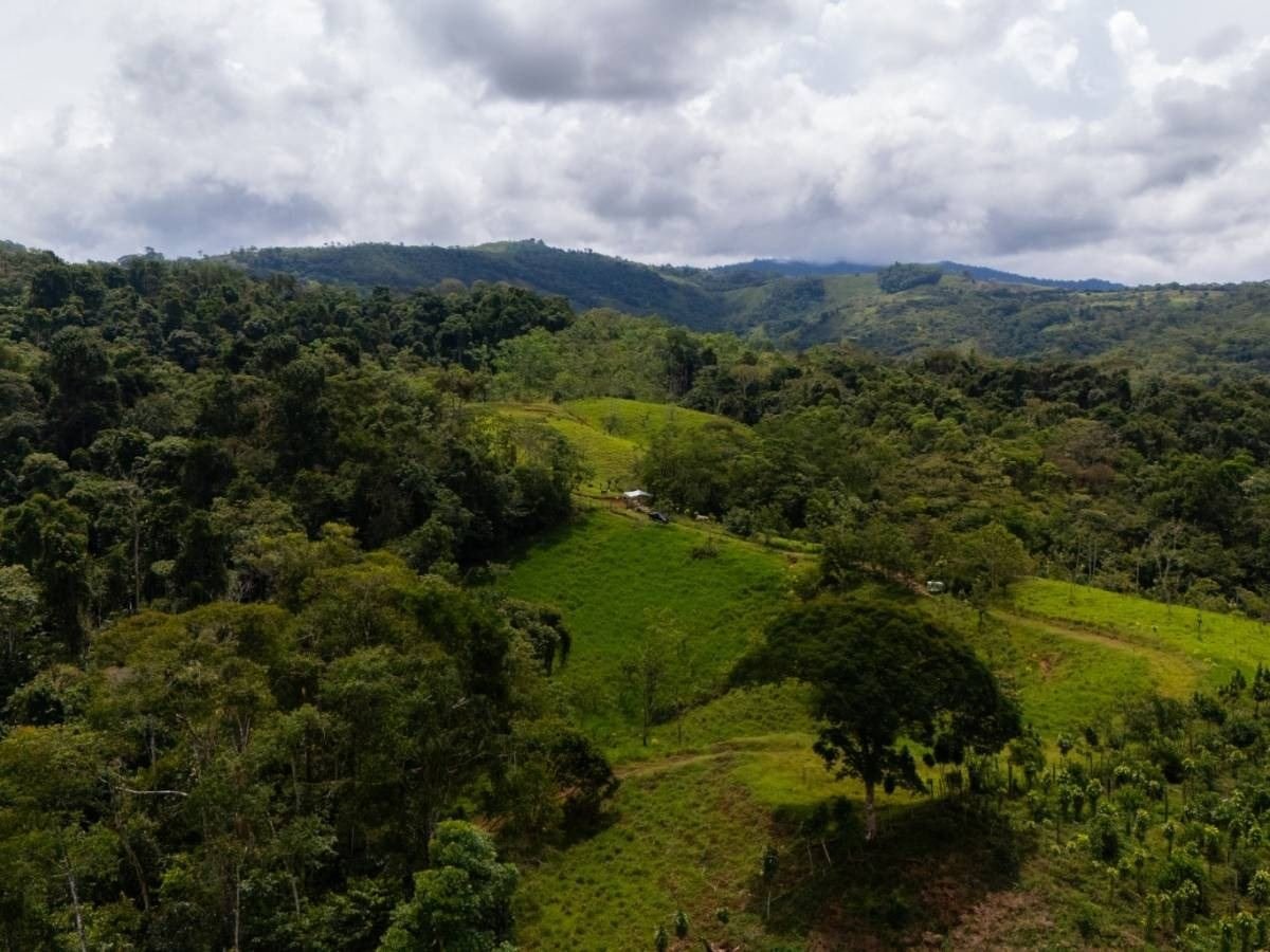 Finca La Linda - imagen 3