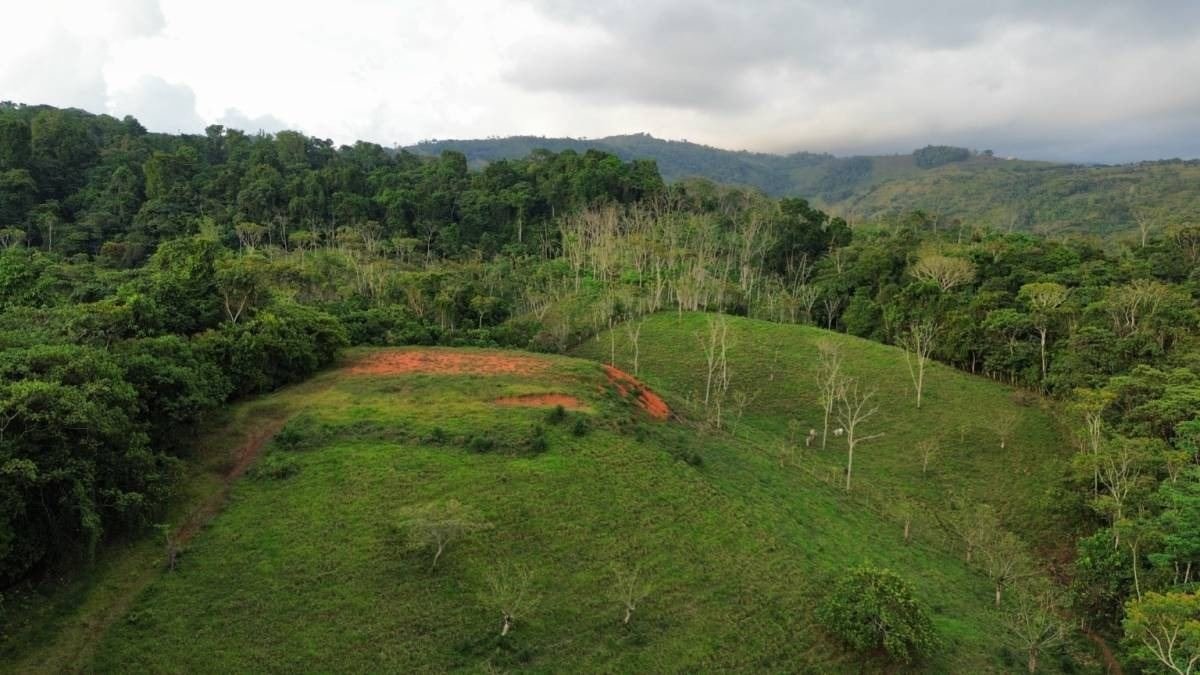 Finca La Linda - imagen 4