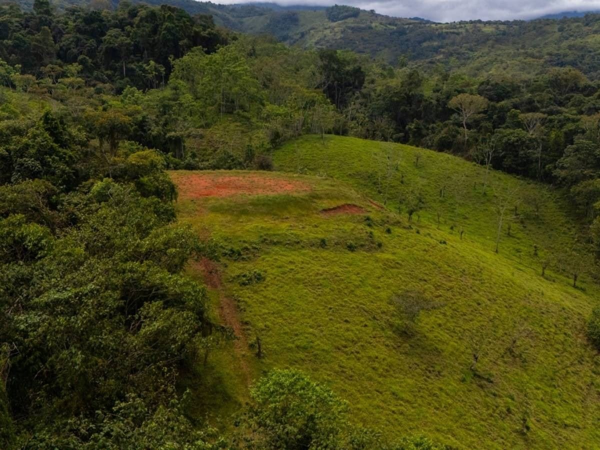 Finca La Linda - imagen 5