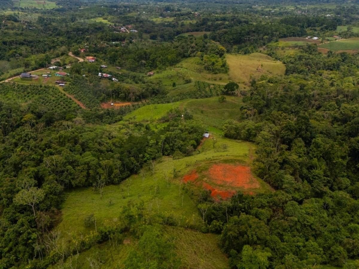 Terreno abierto entre árboles en Finca La Linda