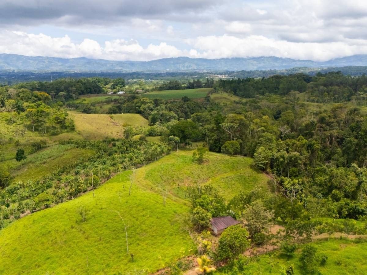 Panorámica de terreno y valle desde Finca La Linda
