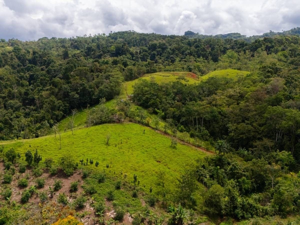 Vista aérea de zonas verdes y bosque en Finca La Linda